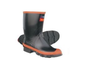 Picture for category GUMBOOTS