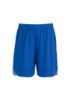 Picture of MENS SONIC SHORTS