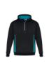 Picture of ADULTS RENEGADE HOODIE