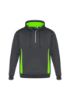 Picture of ADULTS RENEGADE HOODIE