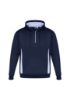 Picture of ADULTS RENEGADE HOODIE