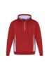 Picture of ADULTS RENEGADE HOODIE