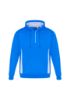 Picture of ADULTS RENEGADE HOODIE