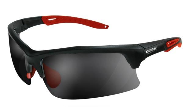 Picture of ARMOUR SENTRY SAFETY GLASSES – SMOKE