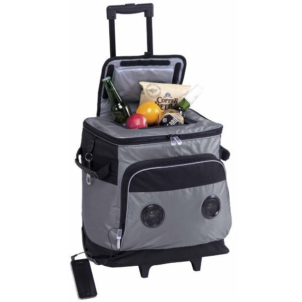 Picture of ESSENTIALS PARKWAY MUSIC COOLER