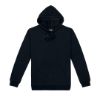 Picture of TMP MENS 360 PULLOVER HOODIE