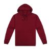 Picture of HSI KIDS 300 PULLOVER HOODIE