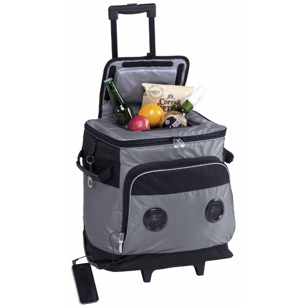 Picture of GFLBAGS PARKWAY MUSIC COOLER
