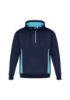 Picture of ADULTS RENEGADE HOODIE
