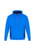 Picture of ADULTS RENEGADE HOODIE