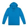 Picture of HSI STD 300 PULLOVER HOODIE