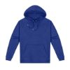 Picture of HSI STD 300 PULLOVER HOODIE