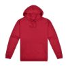 Picture of HSI STD 300 PULLOVER HOODIE